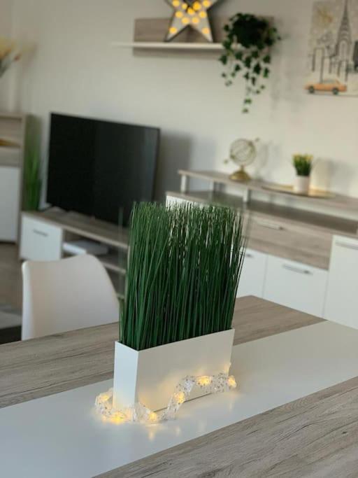 Pourquoi Notre T3 Avec Parking Est Pour Vous ? Apartment Lille Exterior photo